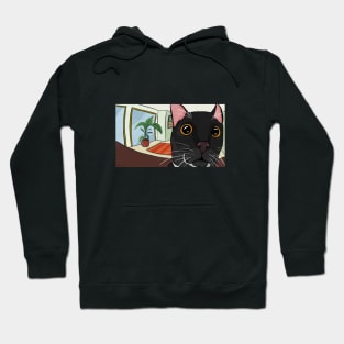 Staring Cat Hoodie